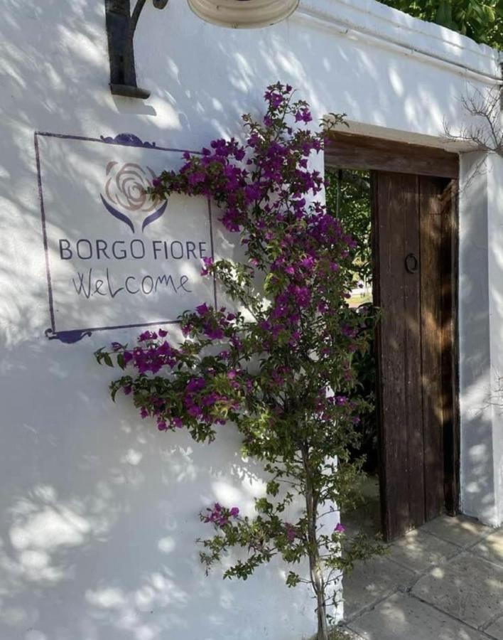 ساليس سالينتينو Borgo Fiore Country House المظهر الخارجي الصورة